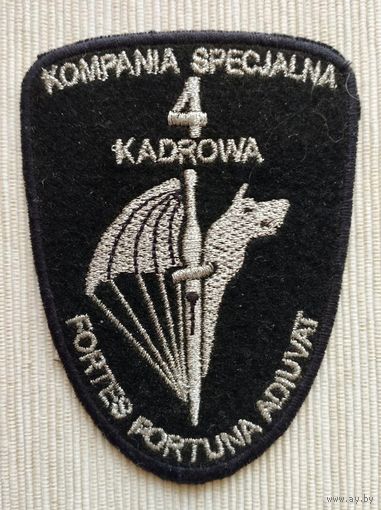 Шеврон 103-14, Польша