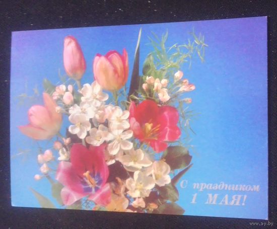 С праздником 1 Мая!(фото И.Дергилева)