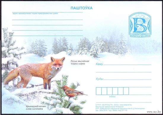Беларусь 2010. ПК. Фауна. Лисица