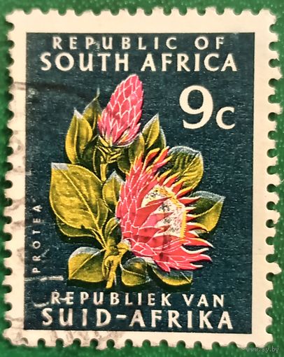 ЮАР 1964. Цветок Промтеи