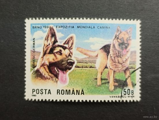 Румыния 1990. Международная выставка собак, Брно