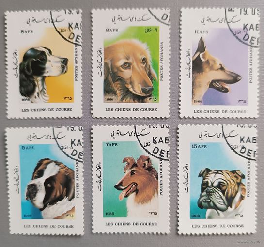 Собаки. Афганистан, 1986