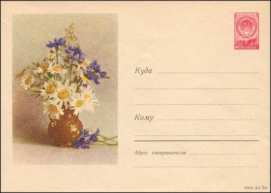 Художественный маркированный конверт СССР N 683 (24.04.1958) Фото букета из ромашек и васильков в вазе