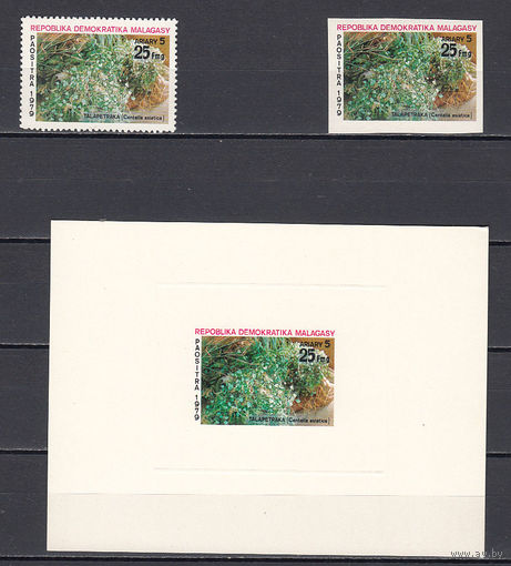 Флора. Цветы. Мадагаскар. 1979. 1 марка с/з и б/з и люкс-блок. Michel N 852 (- е).