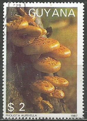 Гайана. Грибы. Чешуйчатка золотистая. 1988г. Mi#2090.