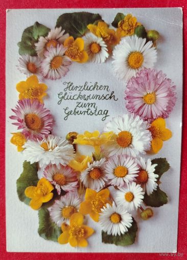 Праздничная. Чистая. Берлин. 1994.