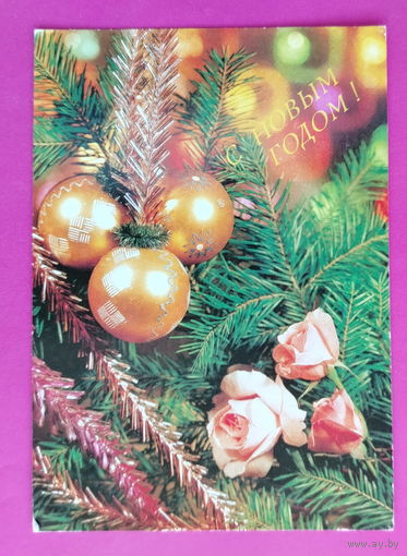 С новым годом! Чистая. 1991 года. Фото Круцко. 2260.