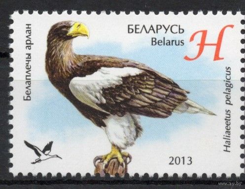 Беларусь 2013. Фауна. Птица Белоплечий орлан. 1 марка 966 (662)