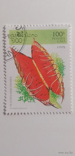 Лаос 1995. Насекомоядные растения