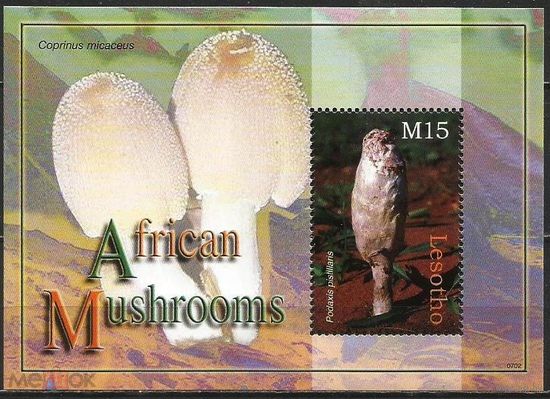 Лесото Гриб Пустыный дождевик 2011 MNH