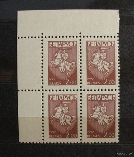 Беларусь 1993. Первый стандартный выпуск. 2руб. Квартблок.