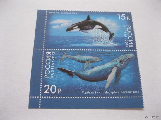 Морские животные 2012 г.