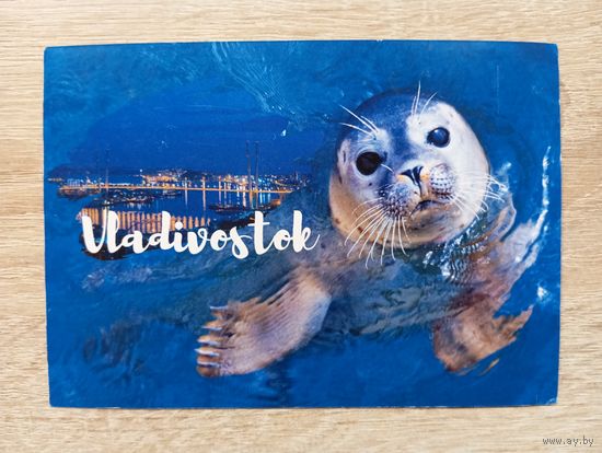 О-12. ПОДПИСАННАЯ ОТКРЫТКА. РОССИЯ. ВЛАДИВОСТОК.