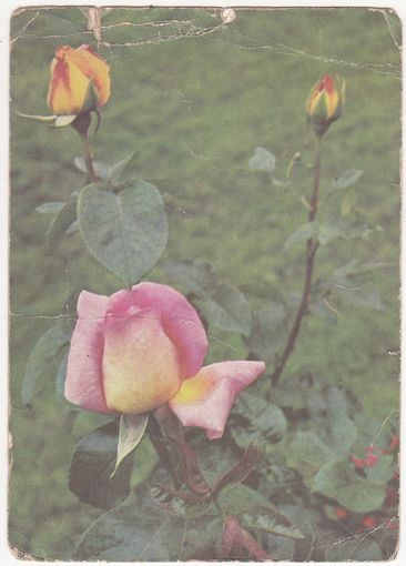Открытка 1976 (97)