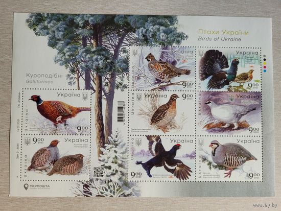 Украина. 2021. блок Курообразные птицы Украины Фауна