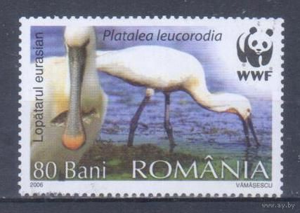 [338] Румыния 2006. Фауна.Птицы.Колпица. Гашеная марка. 1