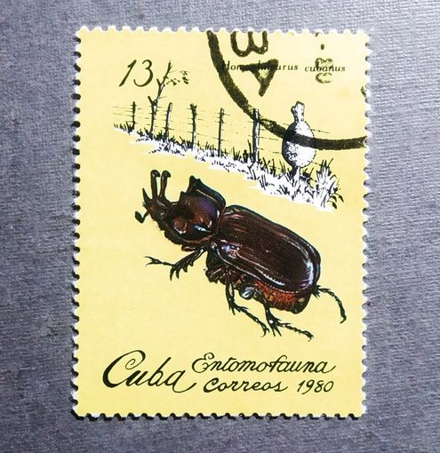 Марка Куба 1980 год Насекомые