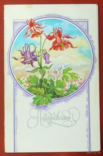 Поздравляю! Чистая. Двойная. 1989 года. Духневич. #110.