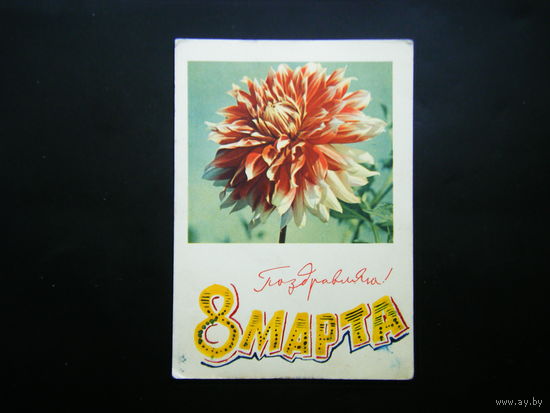 Открытка 1963г. из СССР.