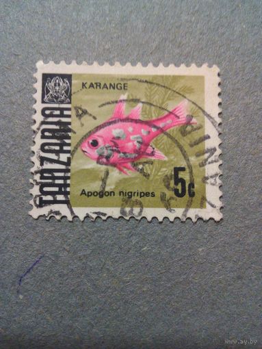 Танзания. Стандарт. 1967г. гашеная