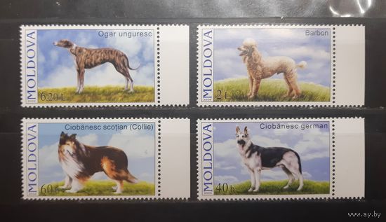 Молдова. 2006 год. Фауна. Собаки (810)