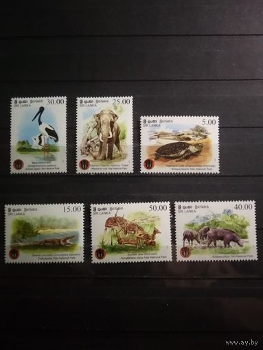 Шри-Ланка 2013 г. Фауна.
