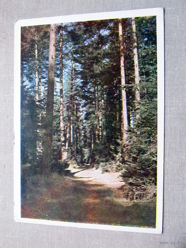 С012-5160 Открытка Подмосковье Фото Кудрявцев Чистая 1964