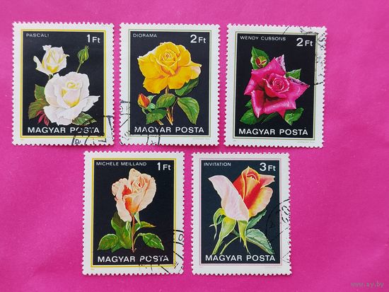 Венгрия. Розы. ( 5 марок ) 1982 года. 11-12.