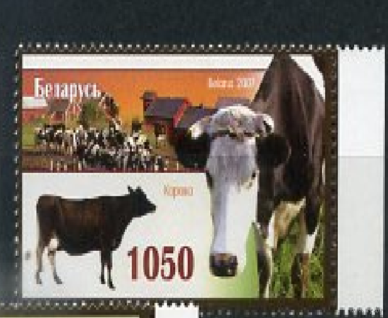 Беларусь 2007 Фауна Домашние животные  Корова Чистая **