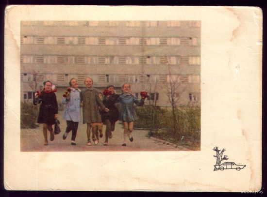 1966 год Гродно В новом микрорайоне