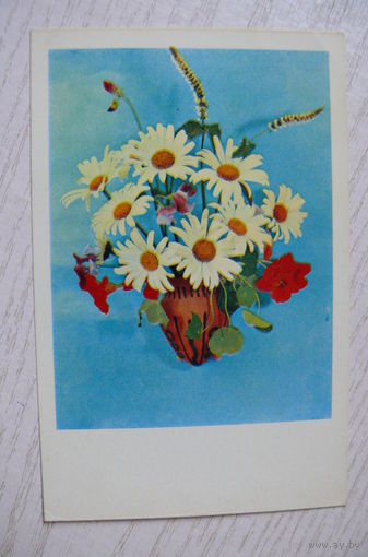 Костенко Г., Цветы, 1971, чистая (ромашки).