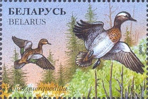Беларусь 1996 фауна утки