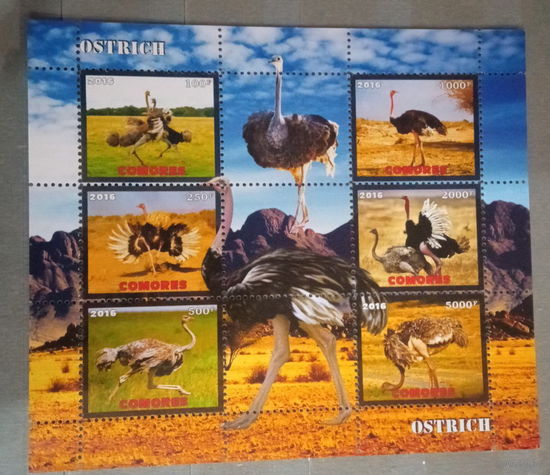 СЕРИЯ Блоков птицы   фауна  MNH