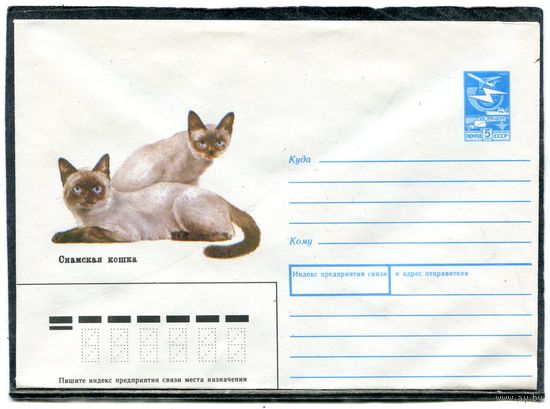 СССР 1989. ХМК. Конверт. Сиамская кошка