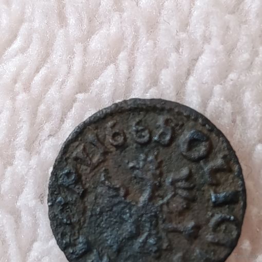 Боратинка 1668 не частая
