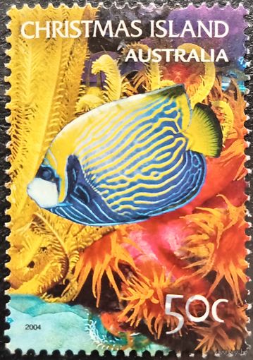Австралия 2004. Коралловая рыба