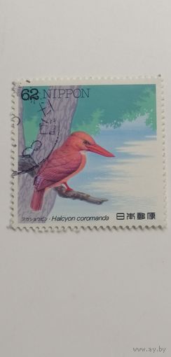 Япония 1992. Утки.