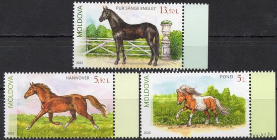 Молдова 2025. Фауна. Лошади. 3 марки (927)