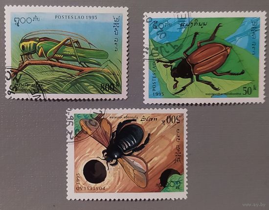 ЖУЧКИ. Лаос, 1995