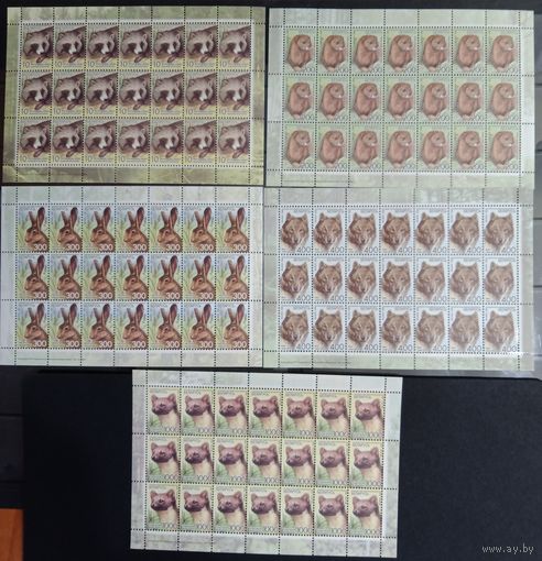 Марки Беларуси. Полная серия седьмой выпуск 11 - го стандарта 2008 года, в листах, фауна, Дикие животные, номера заказов - подряд, 61 - 65 - 2009, КМ 733V - 737 V, каталог 65 евро. См. фото