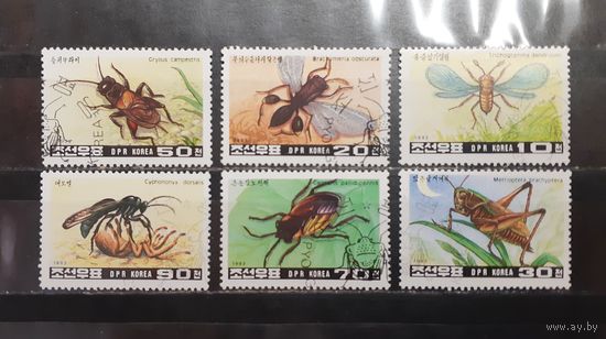 Корея. 1993 год. Фауна. Насекомые (1273)