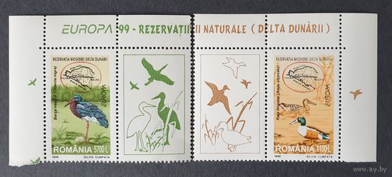 Фауна. Птицы. Охрана природы. Широконоска. Чёрный аист. 2м Румыния 1999 MNH** Mi 5414-5415