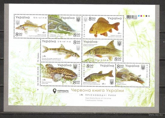 ФФ3 Украина 2019 Рыбы