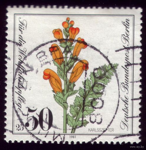 1 марка 1981 год Берлин Цветок 651