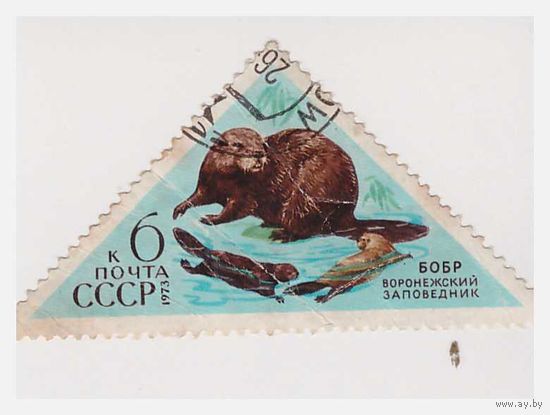 СССР 1973 Бобр