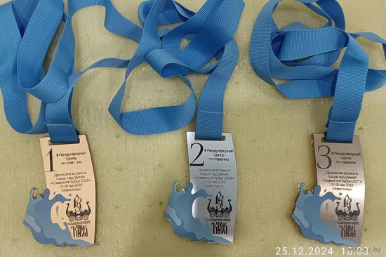Плавание Турнир Славянский Кубок 2019 Новополоцк 1, 2 и 3 место (3 медали, пластик)