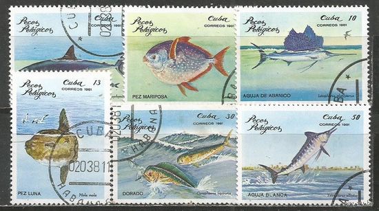 Куба. Морские рыбы. 1981г. Mi#2534-39. Серия.