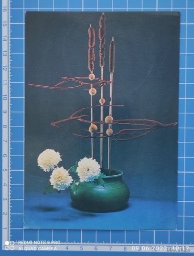 Открытка 1990 год. "Фотокомпозиция". Художник Г. Новикова.