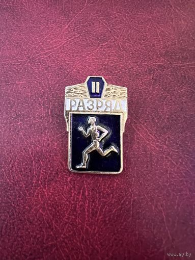 2 второй разряд по бегу (*2)