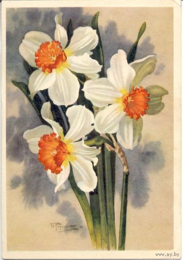 Чистая открытка СССР. Романов. 1963